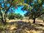 Immagine 25