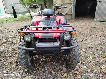 ATV Quad allRoad 300 4x4