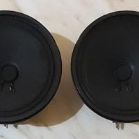 Altoparlanti schermati