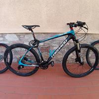 MTB CARBONIO TORPADO NEARCO