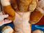 Immagine 2