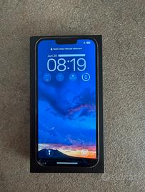 iPhone 13 Pro Max 256 GB