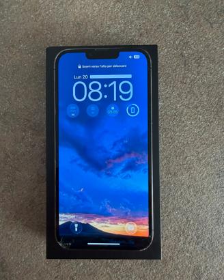 iPhone 13 Pro Max 256 GB