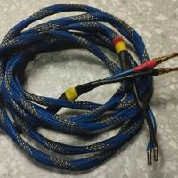 cavo canale centrale