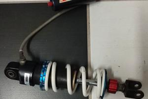 Mono trofeo rs 250 sachs boge