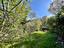 Immagine 28