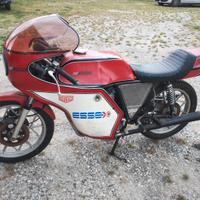 MV Agusta Altro modello - 1974