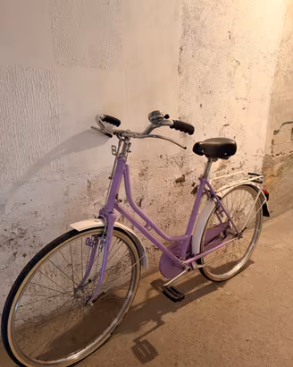 Bicicletta con freni a bacchetta pronta all’uso