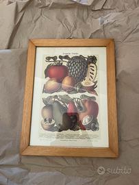N. 4 quadretti cucina