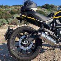 Short Titanium Roadsitalia Ducati Scrambler 800