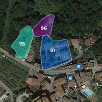 Terreni per oltre 10.000 mq o valutabili singoli