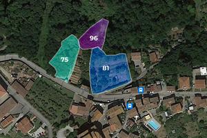 Terreni per oltre 10.000 mq o valutabili singoli