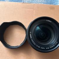 Panasonic Lumix G Vario 12-60mm f/3.5-5.6 OIS