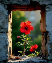 Assistente domiciliare con 20 anni di esperienza -