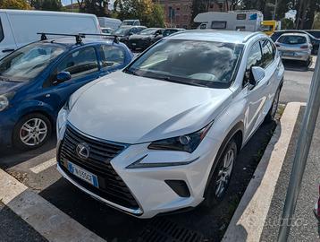 LEXUS NX 1ª serie - 2018
