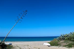 VILLA x 6-8 FRONTE SPIAGGIA CON ACCESSO PRIVATO