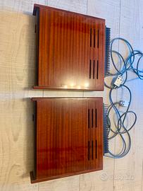 Finali monofonici Meitner mtr-100