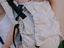 Immagine 2