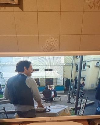 televisione  LG bianco 28 pollici 