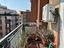 Immagine 16