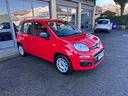 fiat-panda-1-2-easy