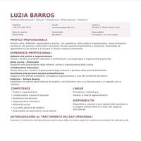 addetta alla pulizia
