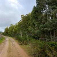 Terreno Agricolo a pochi passi dal paese