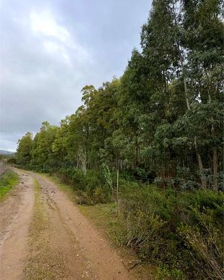 Terreno Agricolo a pochi passi dal paese