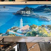 Schermo lcd SONY VAIO VGN NW21MF funzionante