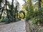 Immagine 11
