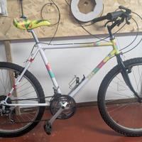 Regina  Special 26" - Comoda, Revisionata e Pronta