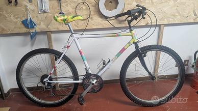 Regina  Special 26" - Comoda, Revisionata e Pronta