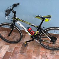 Bici ragazzo mtb vertical 24" record