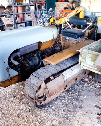 Trattore cingolato LOMBARDINI CASTORO C24