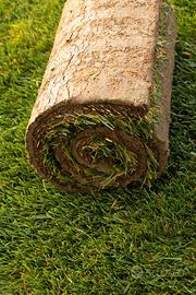 Prato Erba a rotoli Bari | Taranto | Matera |Lecce