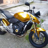 Honda hornet 600 2010