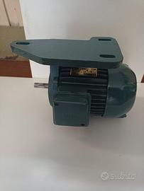 Motore Elettrico trifase con suppor. tendi cinghia