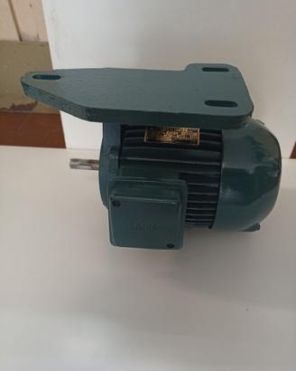 Motore Elettrico trifase con suppor. tendi cinghia