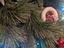 Immagine 3