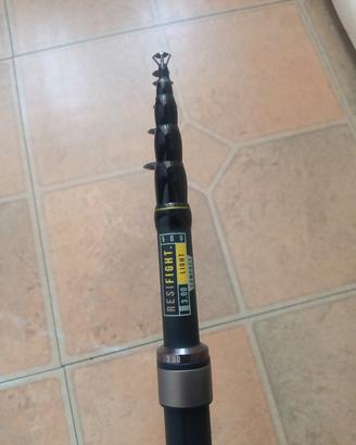 Canna da Pesca Carbonio Trota Mare Lago Fiume 