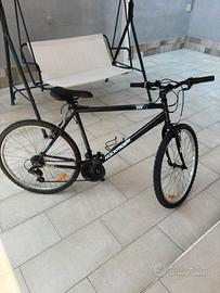 Bici mountain Bike