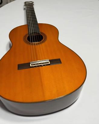strumenti musicali