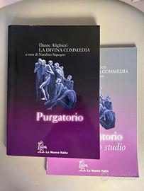 Il Purgatorio, Dante Alighieri la divina commedia