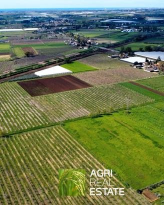Terreno agricolo 10 HA con impianto kiwi e 2 pozzi