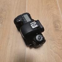 Canon 6D MII + 24-105 L f/4