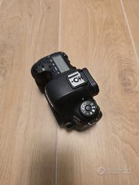 Canon 6D MII + 24-105 L f/4