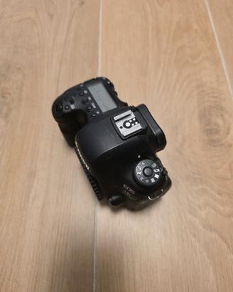 Canon 6D MII + 24-105 L f/4