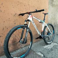 Cube 29 Carbon 120mm NUOVA Downcountry