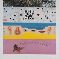 Serigrafia KAUFMANN ARIENTI BOETTI DELLAVEDOVA