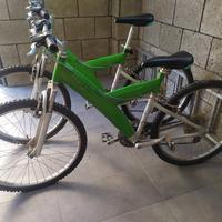 Coppia di biciclette 